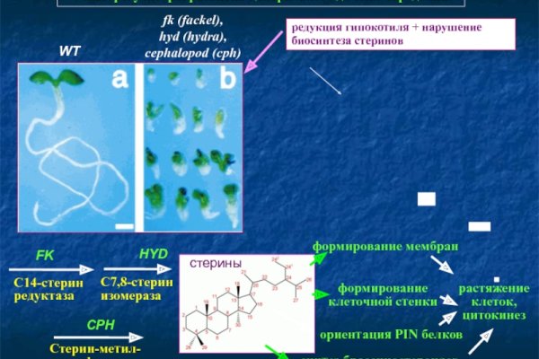 Кракен наркошоп сайт